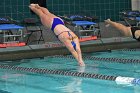 Swimming & Diving vs Babson  Swimming & Diving vs Babson College. - Photo by Keith Nordstrom : Wheaton, Swimming